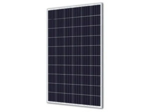 Talesun 265W Solar Panel
